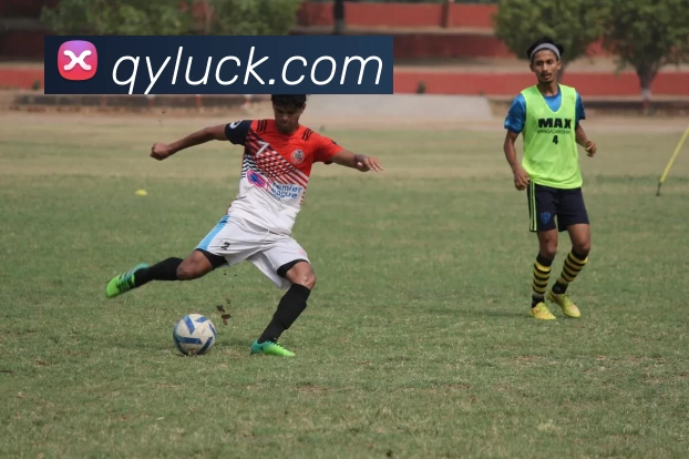 奇亿娱乐官网平台生态图